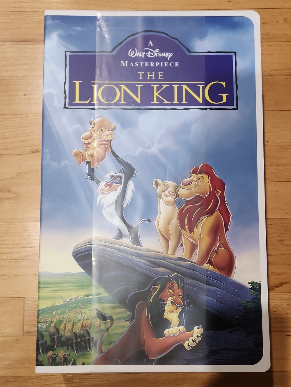 Lion King VhS Blanket